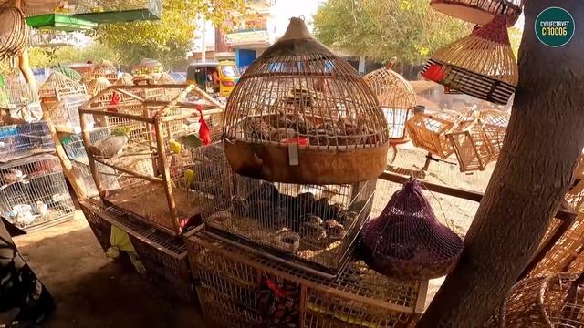 ТУРИЗМ В АФГАНИСТАНЕ. КАК ЖИВËТ АФГАНИСТАН ПРИ ТАЛИБАХ смотреть онлайн