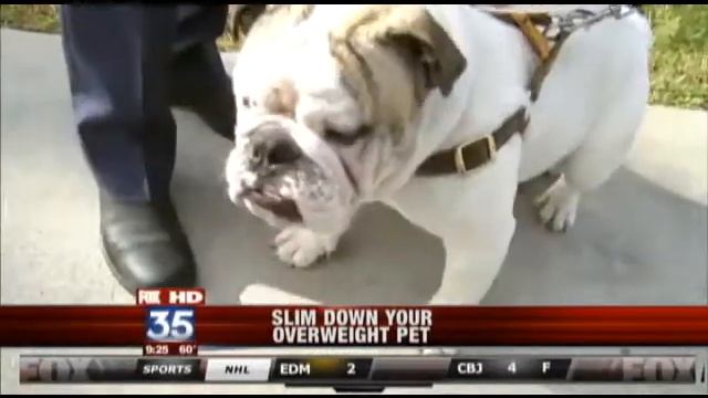 Dr Ernie Ward FOX35 Good Day смотреть онлайн