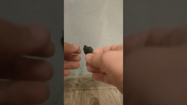 сделал F/S Poison