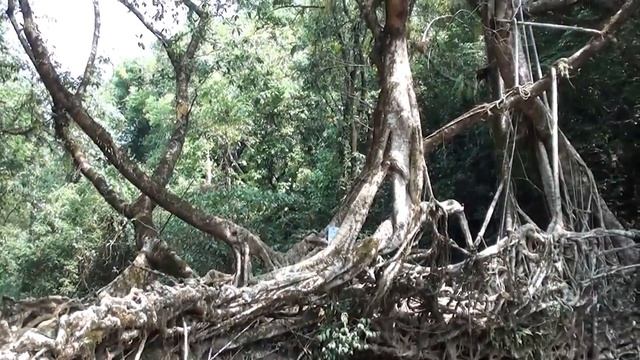 10 ФАКТОВ ОБ ИНДИИ. Интересные факты про Индию. смотреть онлайн