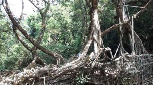 10 ФАКТОВ ОБ ИНДИИ. Интересные факты про Индию.