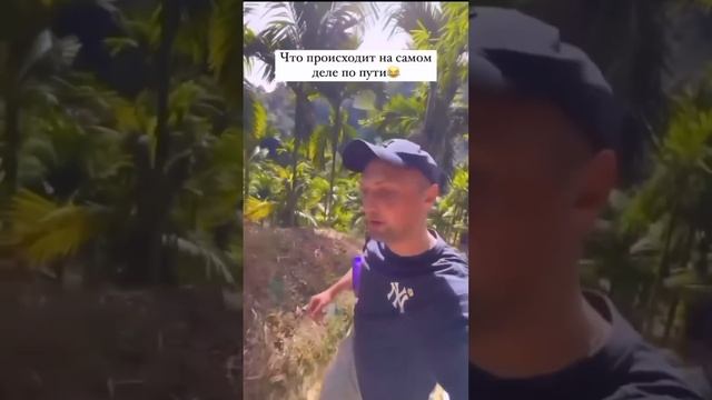 жиза смотреть онлайн