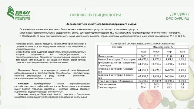БЕЛКИ_ 27.12.24 18-42-13 — запись смотреть онлайн