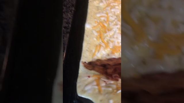 Bacon and cheese omelette for breakfast on the Lodge cast iron griddle on the stove смотреть онлайн