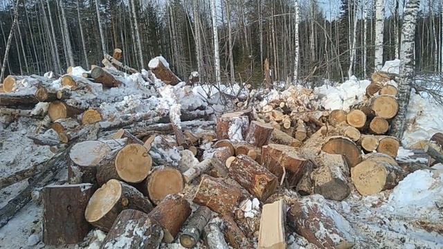 ГОТОВИМ ДРОВА НА СЛЕДУЮЩЮ ЗИМУ смотреть онлайн