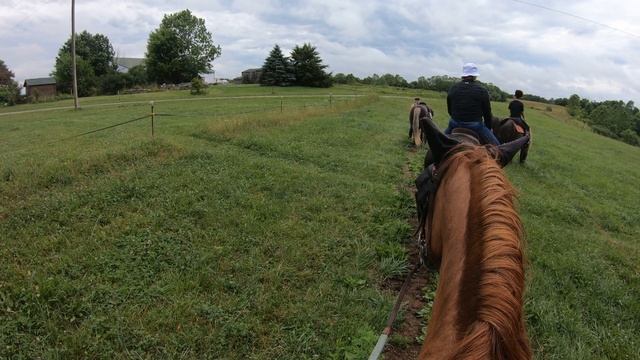 Horseback Riding смотреть онлайн