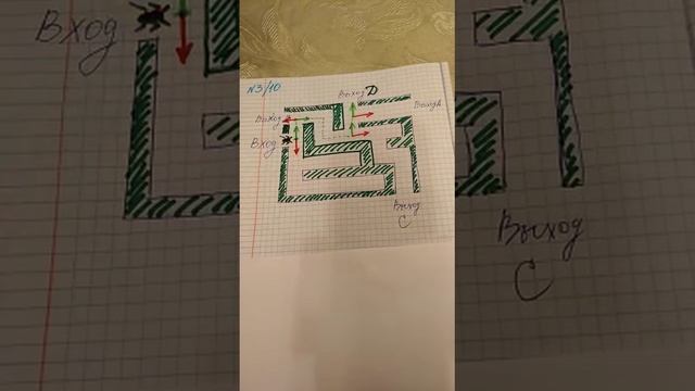 Теория вероятности Паук в лабиринте смотреть онлайн