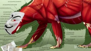 КАК СТАТЬ СНЮСОЕДОМ ЧАСТЬ 2