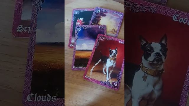 🌈🔥💯 НЕОЖИДАННЫЕ СЮРПРИЗЫ 🤭 🌈🔥💥 смотреть онлайн