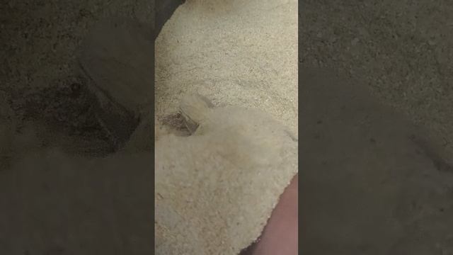 Русово Подворье