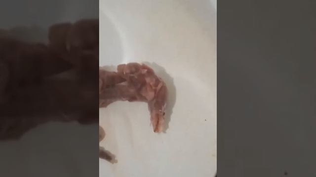 мясо бурозубки смотреть онлайн