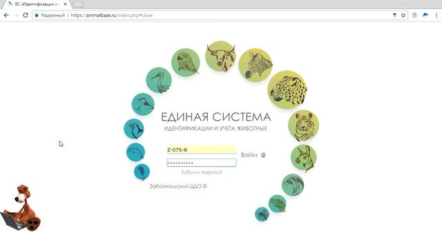 ЕС «Идентификации и учета животных». Вход в кабинет, восстановление пароля. смотреть онлайн