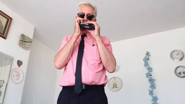 Tombo Pocket Bass Harmonica смотреть онлайн