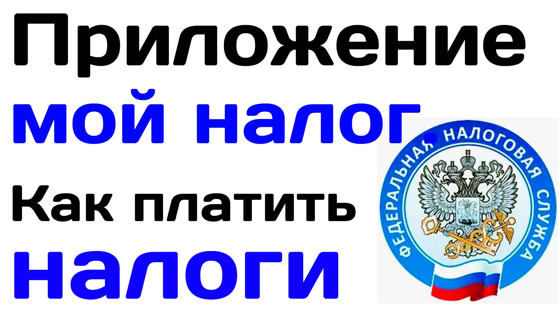 Приложение мой налог. Как платить налоги через приложение смотреть онлайн
