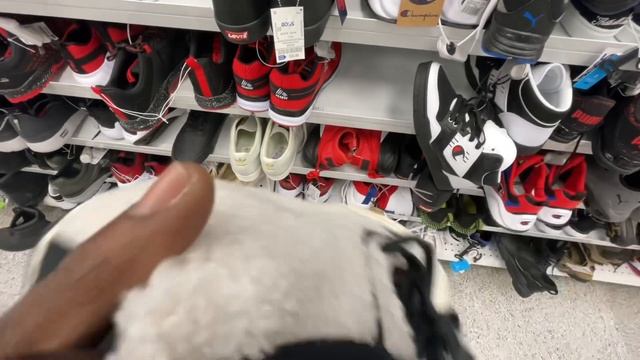 Ross And Burlington Finds 2022 Puma RS Dreamer смотреть онлайн