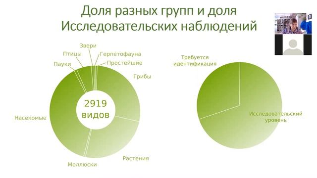 iNat под снегом и итоги развития проекта в 2020 году смотреть онлайн