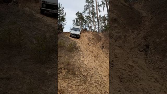 нива ныряет в карьер #shorts