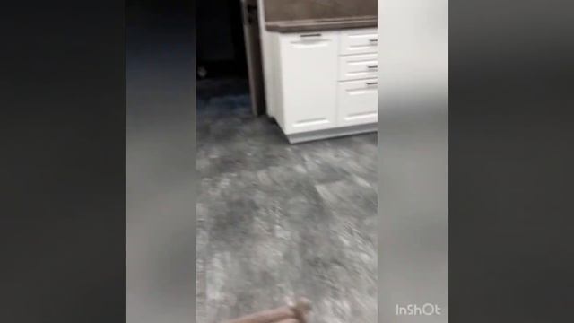 ⚽️🐈⬛Мой КОтик🐈⬛ профессиональный ФУТБОЛИСТ⚽️ смотреть онлайн