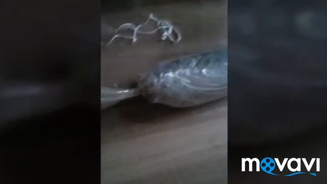 Домашняя ветчина из свинины смотреть онлайн