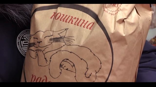 Кошкина Радость 1 смотреть онлайн