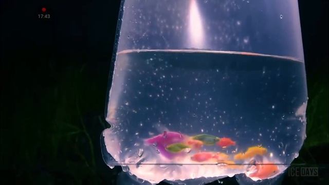 супер террариум все часть @ICE_DAYS