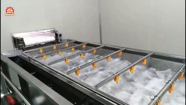 Air Bubble Ozone Fruit And Vegetable Washing Machine