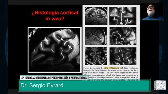 Desde los surcos y circunvoluciones al estudio de la conducta смотреть онлайн