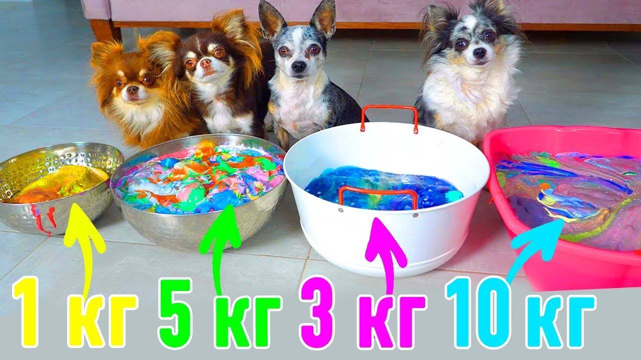 СЛАЙМЫ ГИГАНТЫ! 1000 ЛИЗУНОВ ДЛЯ ВОЛШЕБНЫХ ПИТОМЦЕВ! РАСПАКОВКА МИНИ СЛАЙМОВ ПОСЛЕДНИЙ ДЕНЬ смотреть онлайн