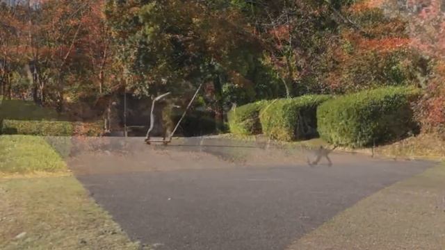 Windsurf Wave Riding Training!!! смотреть онлайн