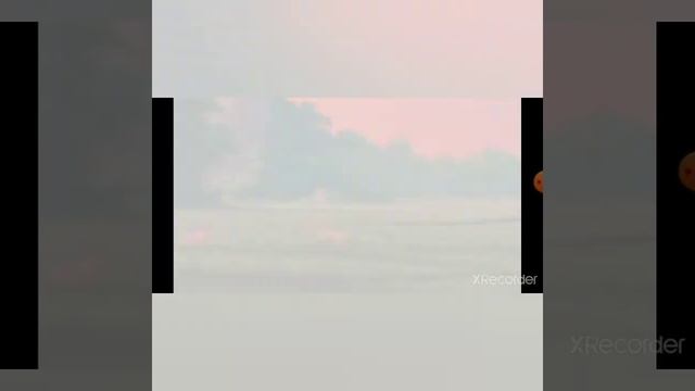Лучшие мультфильмы / Топ 3 смотреть онлайн