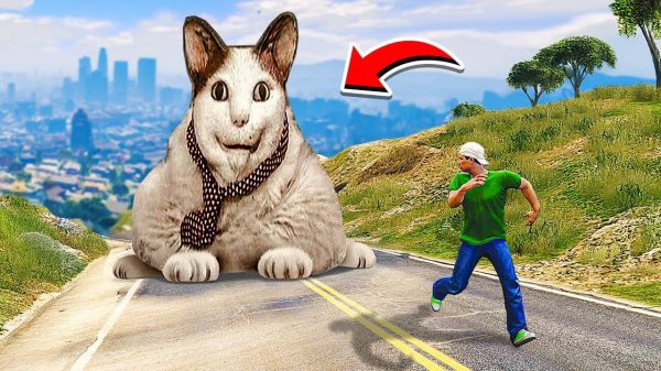 БУ ИСПУГАЛСЯ НЕ БОЙСЯ СЛЕДИТ ЗА МНОЙ в ГТА 5! Страшный Мем Кот в GTA 5