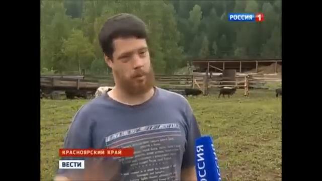 Веселый Молочник про сыр смотреть онлайн
