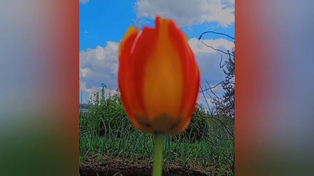 Деревенские будни смотреть онлайн