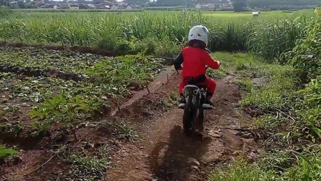 My Adventure - Jajal Mini Trail 50cc смотреть онлайн