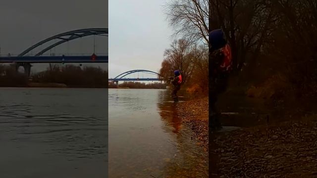 СУПЕР РЫБА #Shorts