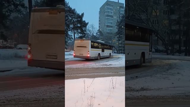 Миниролик #1547 РЕДКОСТЬ!!!! Х710тк на 8!!!#лиаз #автобус