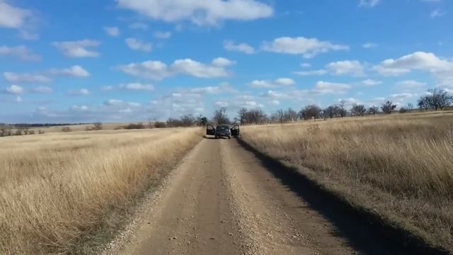 Alphard & Dynamic State смотреть онлайн