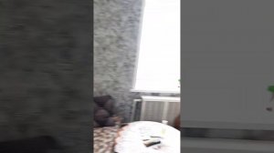 БОЛОТО НА ПОДОКОННИКЕ))) ОРХИДЕЯ НЕ ХОЧЕТ БОЛЕТЬ