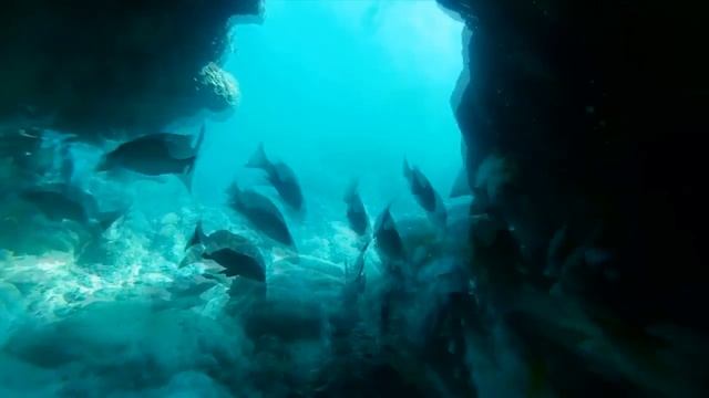 ГАДЖЕТЫ, СНАРЯЖЕНИЕ и АКСЕССУАРЫ ДЛЯ РЫБАЛКИ смотреть онлайн