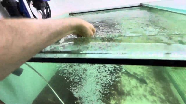 Ферма скатов