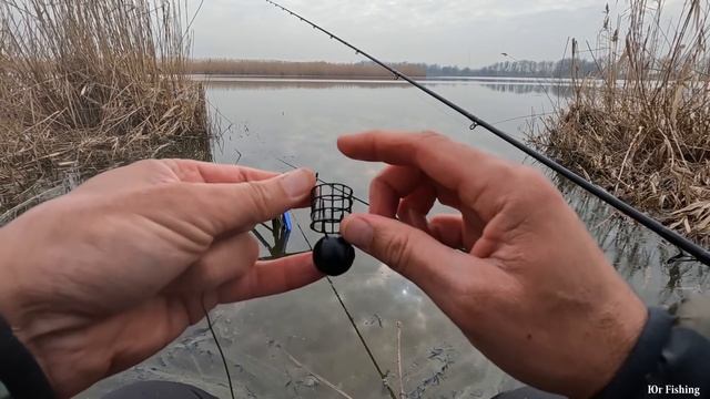 ЗИМНЯЯ РЫБАЛКА, клёв рыбы на диком водоёме, НАКОРМИЛ ДИКОГО КОТА РЫБОЙ природа и отдых смотреть онлайн