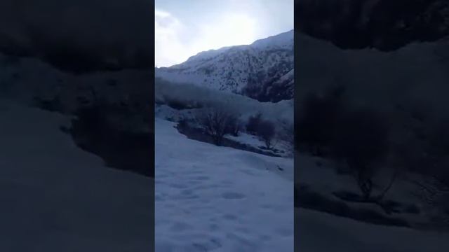 Камароб Канбак 👍👍👍 смотреть онлайн