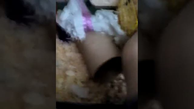 Несколько лайфхаков для хомяка смотреть онлайн