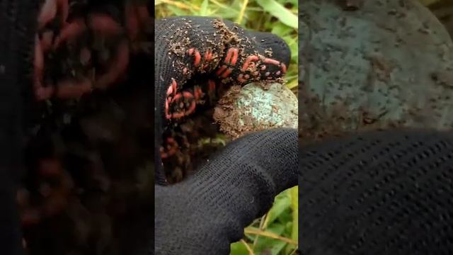 По империи!