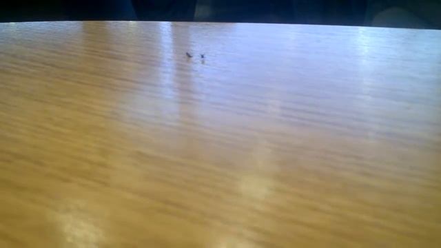 Эта пара уже никогда не будет вместе смотреть онлайн