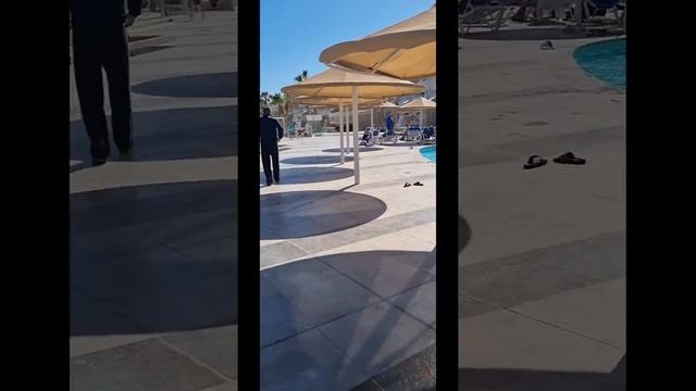 🇪🇬 смотреть онлайн