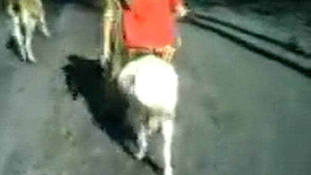 Лошадка смотреть онлайн