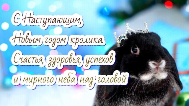 Новоpiчне привiтання🐇❄️ смотреть онлайн