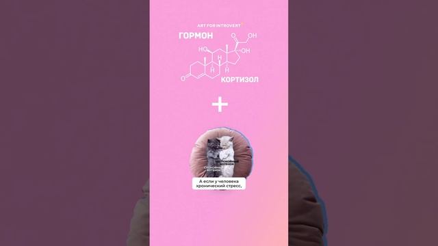 Ставь лайк, если к тебе утром лучше не подходить. Особенно пока ты не выпьешь кофе. смотреть онлайн