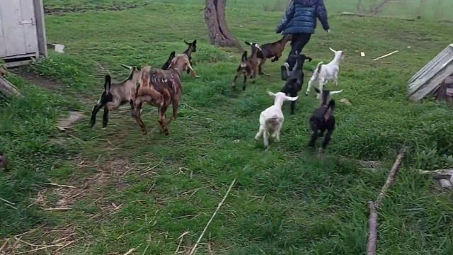 Работа в команде смотреть онлайн